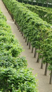 Os caminhos do Silencio