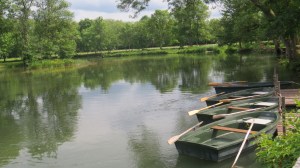Silêncio é de ouro paz e sossego, desassossegado intenso e sereno" Albertina Correia